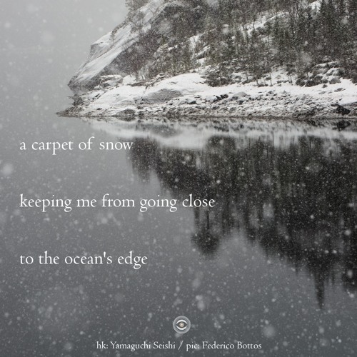 Haiku #247: a carpet of snow / keeping me from going close / to the ocean's edge