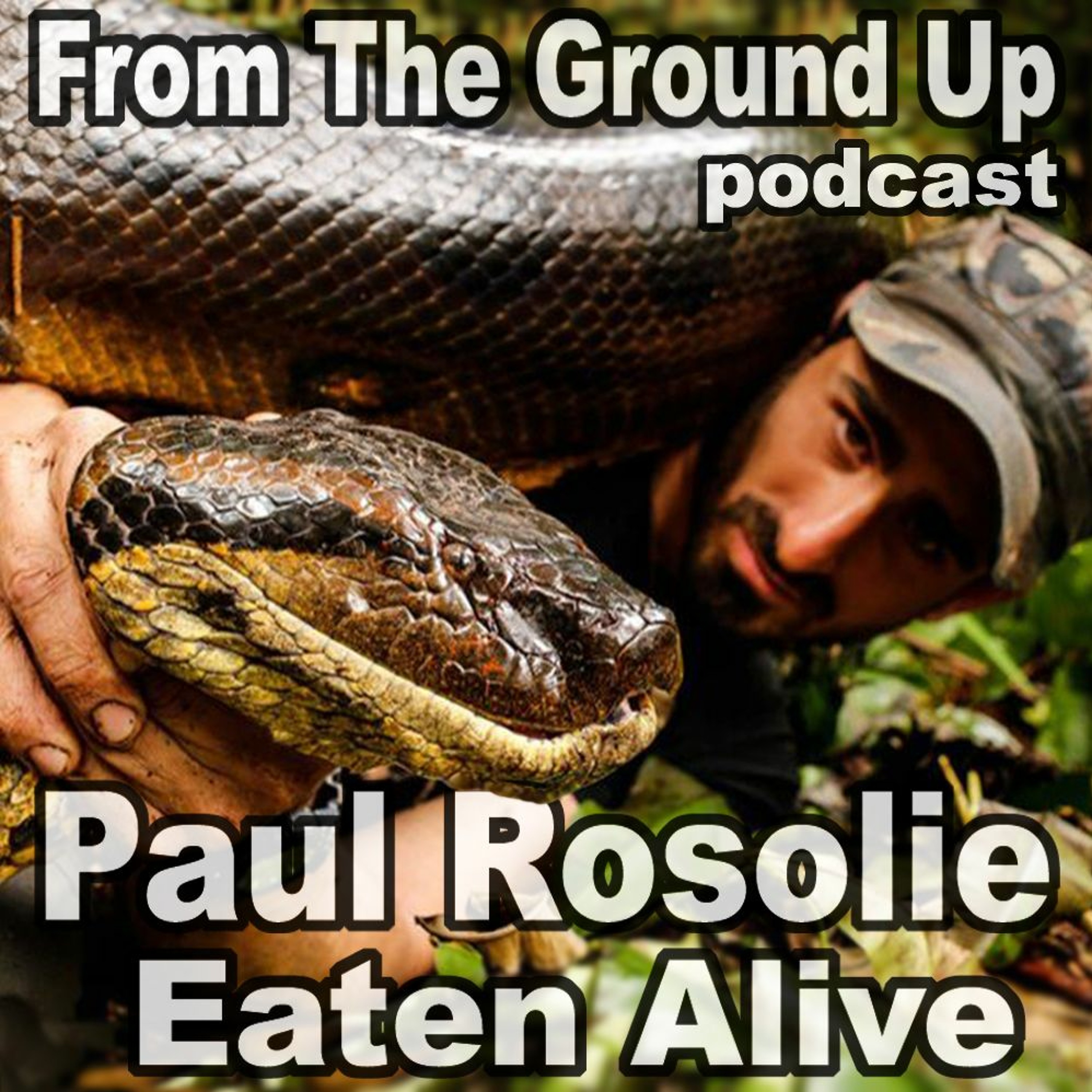 Modern Medusa Reptile Podcast - Where we talk everything cold-blooded (Snake Podcast)