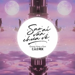QUANG HÙNG X RUM - SAO AI VẪN CHƯA VỀ ( C . A . O Mix )