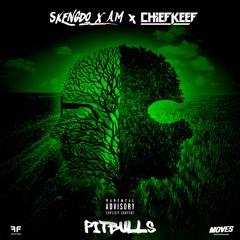 Skengdo & AM ft Chief Keef - Pitbulls [Official Audio]