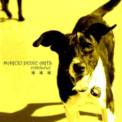 01 - PARALELO Marcio peixe arts feat prod Pedro petraco disco amplitude