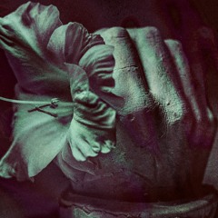 You Can Never Come Back