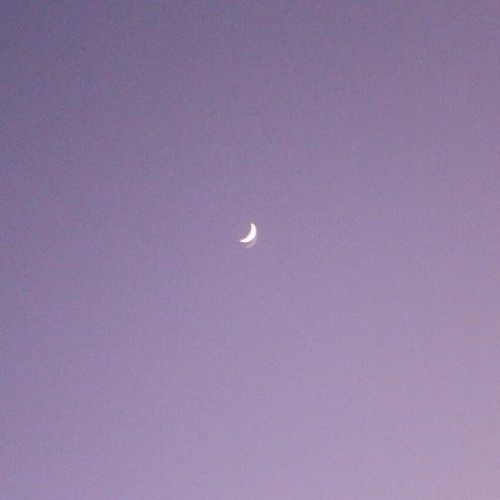 moonlight (prod. Zeeky Beats)
