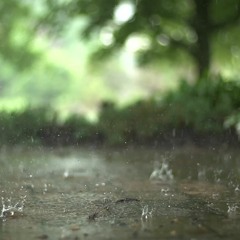 Last Summer Rain(Rework)