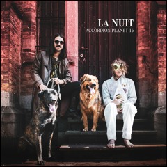 Accordion Planet 15 - La Nuit