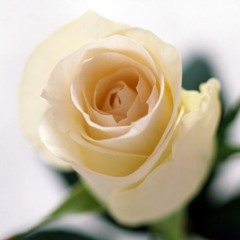 Я буду всегда с тобой (Version 2018)