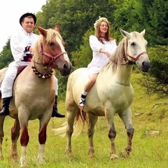 Alexandru Pop - Doi Cai Suri Și O Mândruță