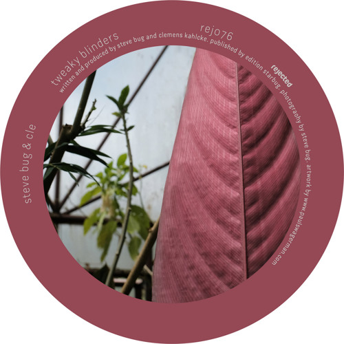 Premiere: Steve Bug & Cle - The Bark Side Of The Moog [Rejected]