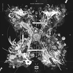 The Unused Word - Falling Through The Barrier - Duzz Down San Birthday Compilation "X"