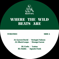 PREMIERE: Baldo - Aquatic Funk