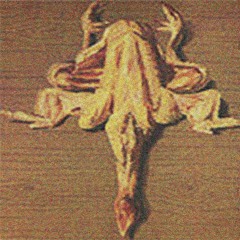 Πcoq - Umbrella Seeds vs Biels Core