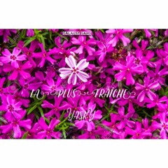 Yasky - La plus Fraîche...