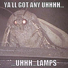 i count fireflies not tragedies