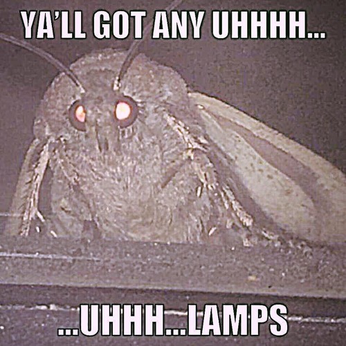 i count fireflies not tragedies