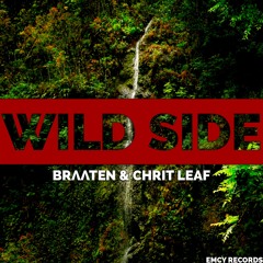 Braaten & Chrit Leaf - Wild Side