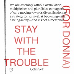 Colin Self - Stay With The Trouble (For Donna)