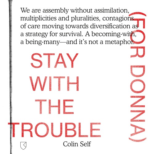 Colin Self - Stay With The Trouble (For Donna)