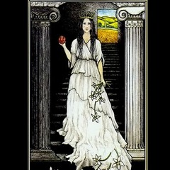 Virginiana Hamamelis