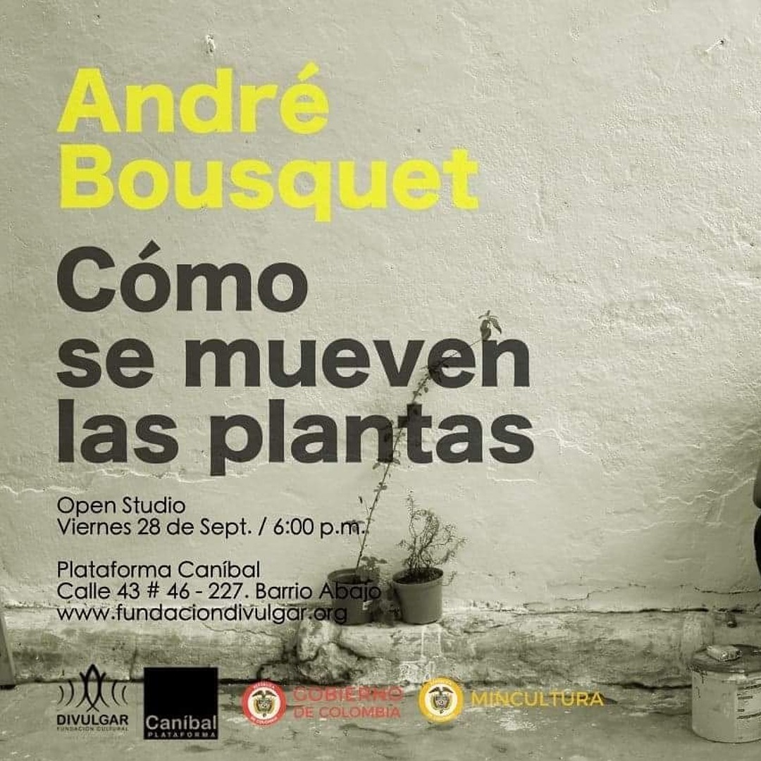 stream-c-mo-se-mueven-las-plantas-del-artista-chileno-andr-bousquet