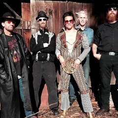 PSYCHEDELVIS AND THE ROUNDERS - BOSSA NOVA