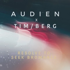 Audien x Tim Berg - Resolve To Seek Bromance (Mashup)