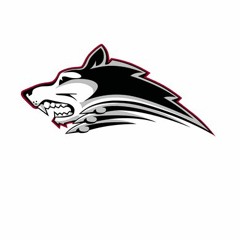 Icedogs Warmup 18-19