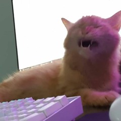 Punk Rock Princess (Something Corporate cover)