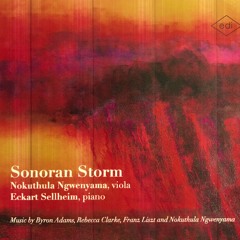Sonoran Storm