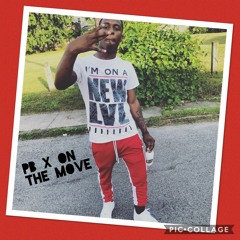PB2RECKLEZZ - ON THE MOVE