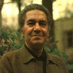 عبدالعلی وزیری - بی خبر
