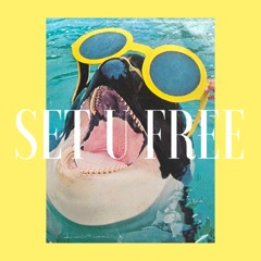 set u free