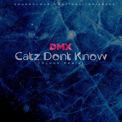 Dmx - Catz Don't  Know (Kjuus Remix)