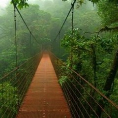 Step Exceptional - Tony Markham And SK daJunglist Feat Negro Scoe