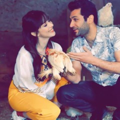 Samir İlqarli-Heç mənə lazim deyil