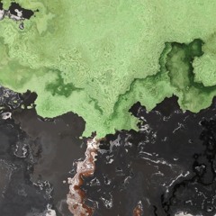 Happy Go Lucky (Wise Man)