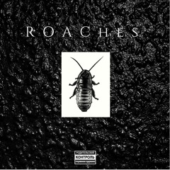 Roaches - Kani Ft Sonik