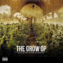 Mac Miller -  The Grow Op (Intro) (Prod By Big Jerm) (DatPiff Exclusive)