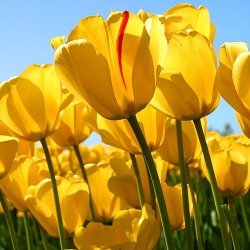 Uriki Utharana Dj Sai Mix 3Maar