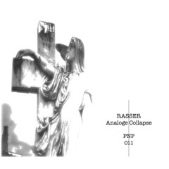 Preview Rasser - Analoge Collapse / PNP 011