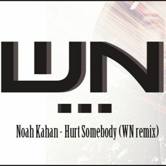 HURT SOMEBODY - Noah Kahan - WN Remix