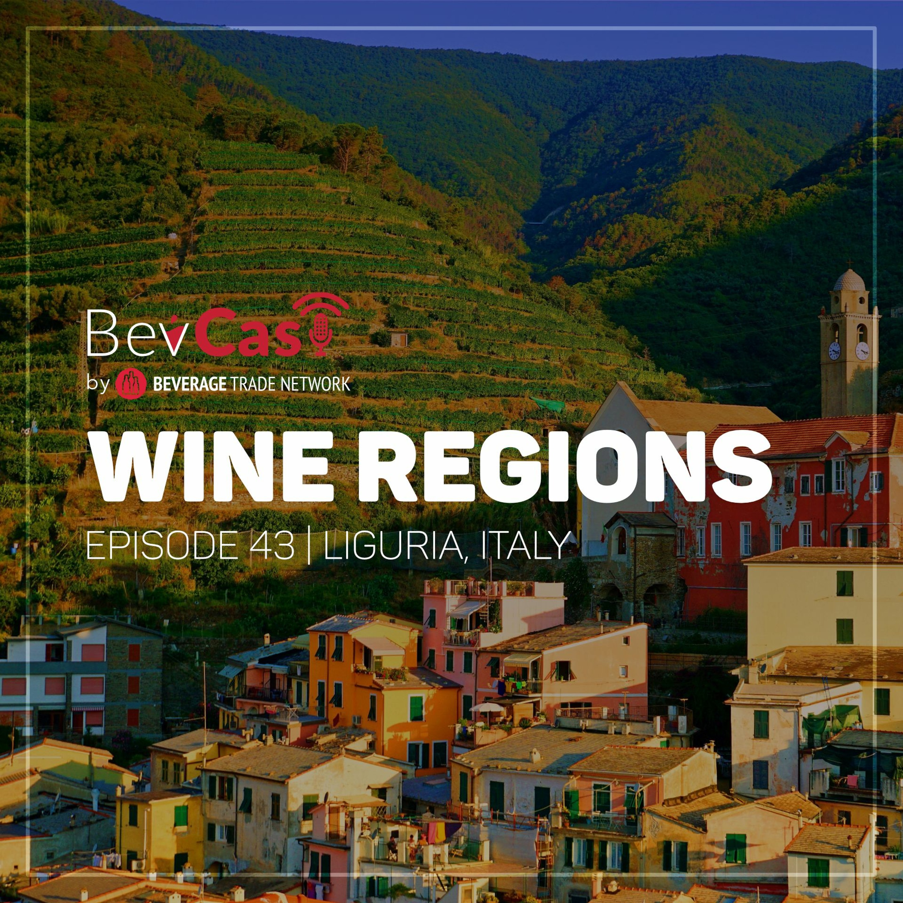 Beverage Trade Network