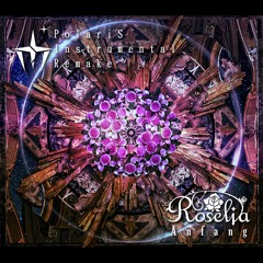 Roselia - Neo-Aspect (PolariS Instrumental Remake)