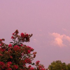 villa ceiba