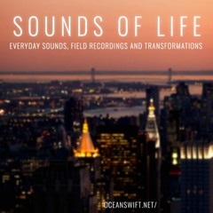 Sounds of Life Demo001 Atom Sessions