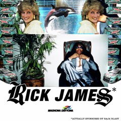 RICK JAMES FOR THE WIN