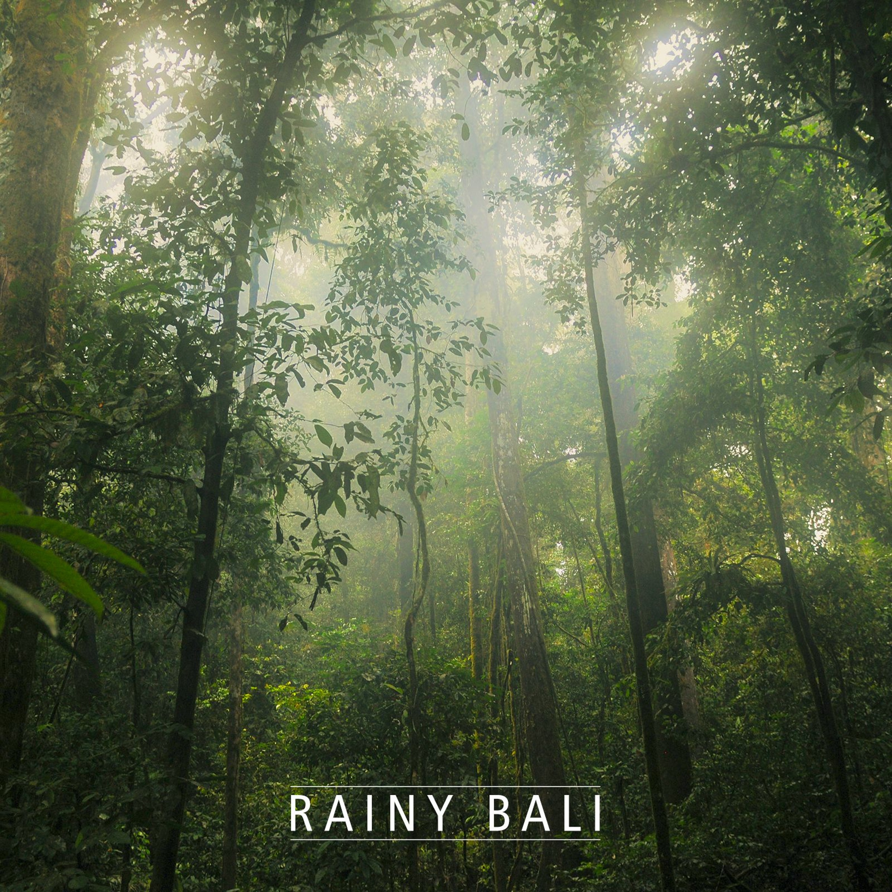 Rainy Bali episode artwork