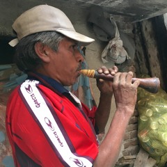 "Las indias de Tuxpan" Música tradicional / Tuxpan