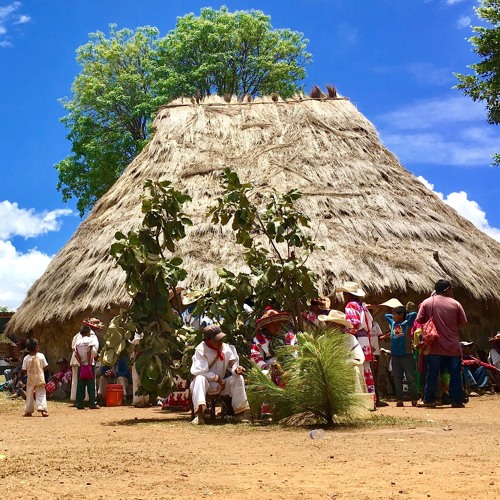 Cantos de Mara'akame Lino López / San Andrés Cohamiata