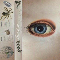 lmns.o - colores snippet mix (CASSETTES limitados x Bandcamp )