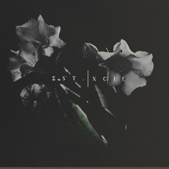 In The Phault Vol.8_ Quand Le Soleil Se Couche sur Nous